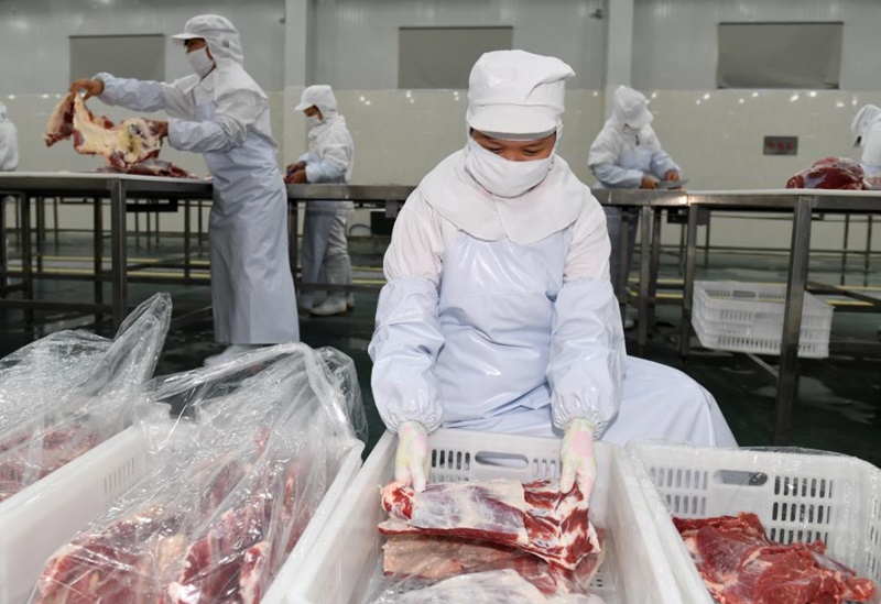 冷鏈運輸牛肉要注意什么(圖1) 冷鏈運輸牛肉要注意什么(圖1)