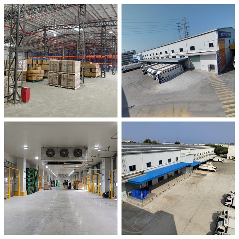 粵港冷鏈物流園招商(圖1)