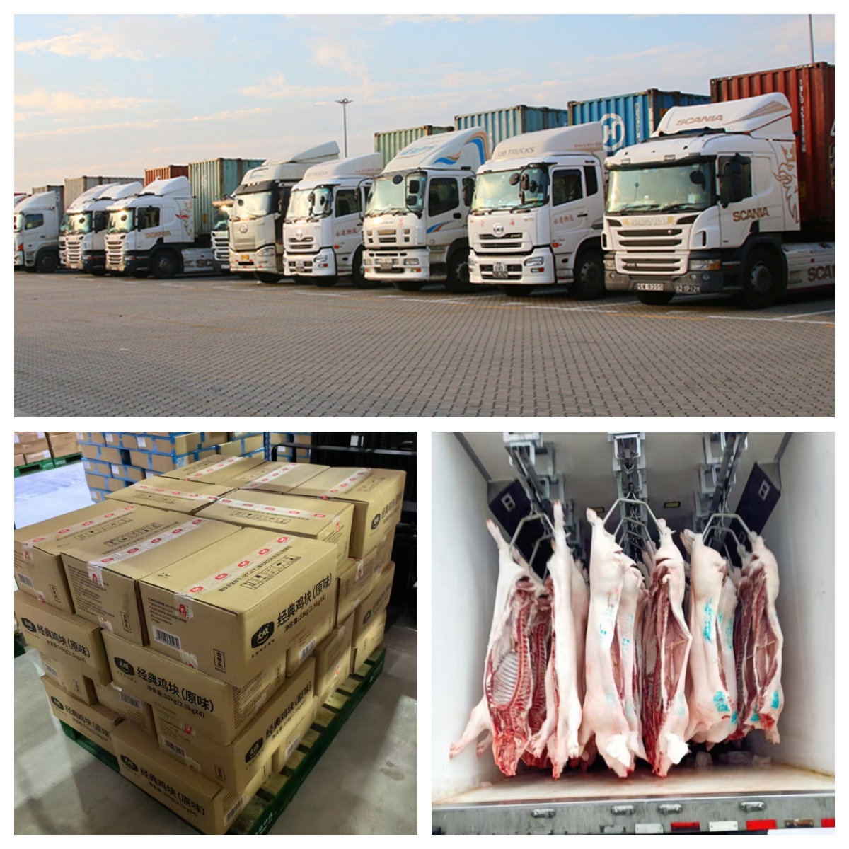冷鏈配送(圖1) 冷鏈配送(圖4)