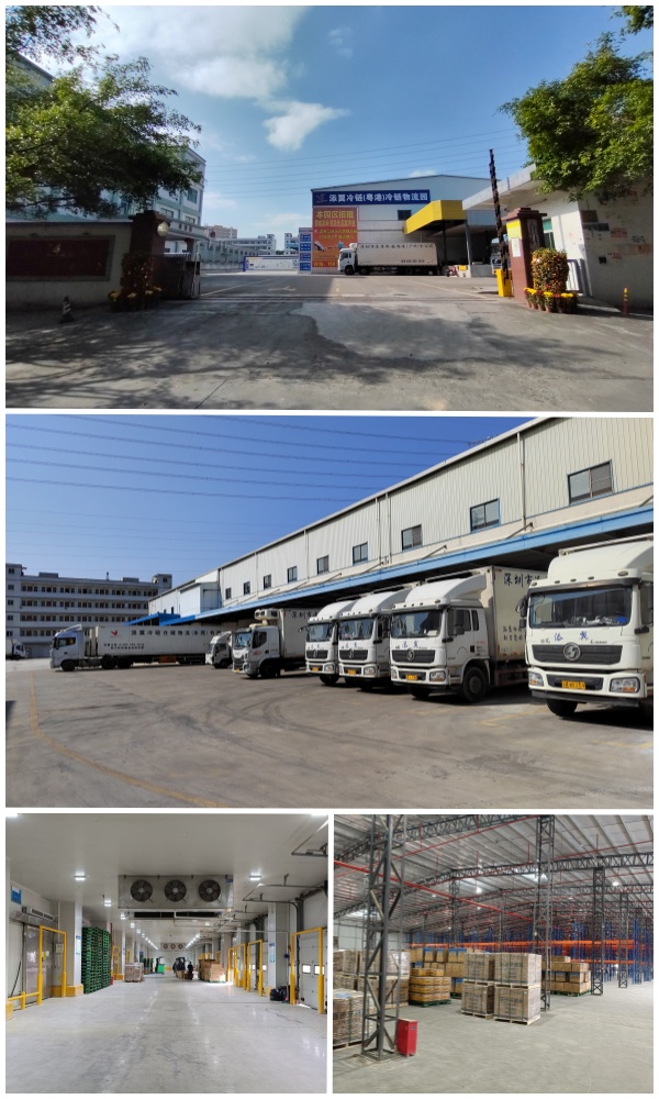 冷鏈物流(圖1)