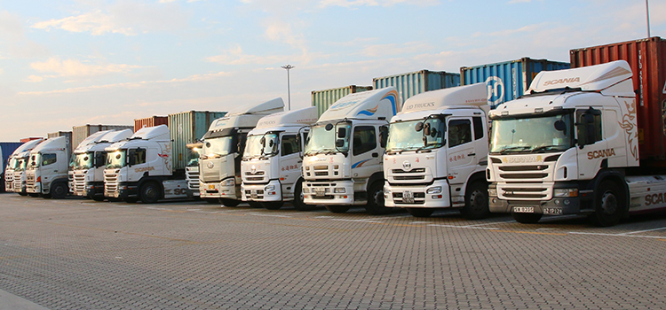 冷鏈公司經(jīng)營范圍有哪些？(圖1)